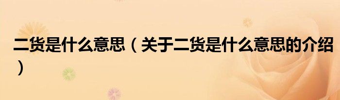 二货是什么意思（关于二货是什么意思的介绍）