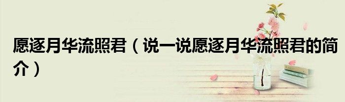 愿逐月华流照君（说一说愿逐月华流照君的简介）