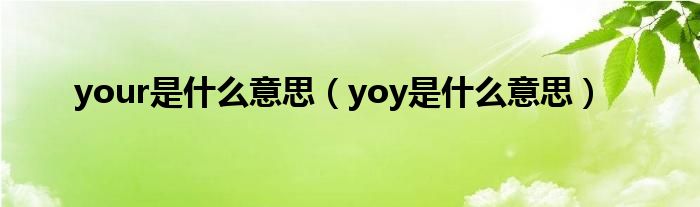 your是什么意思（yoy是什么意思）