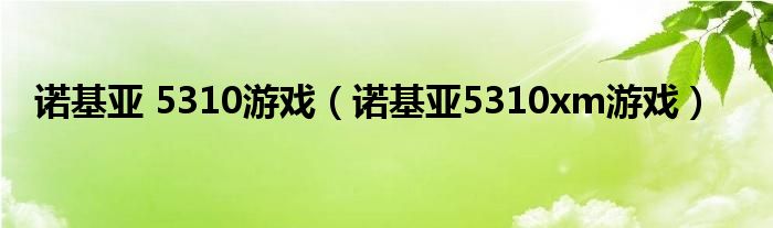 诺基亚 5310游戏（诺基亚5310xm游戏）