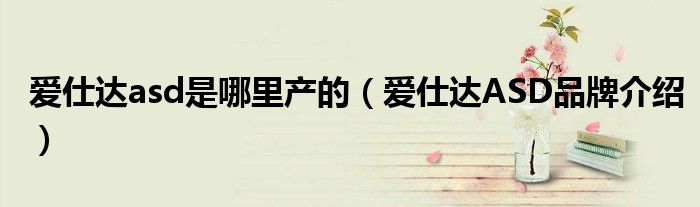 爱仕达asd是哪里产的（爱仕达ASD品牌介绍）