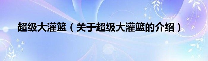 超级大灌篮（关于超级大灌篮的介绍）