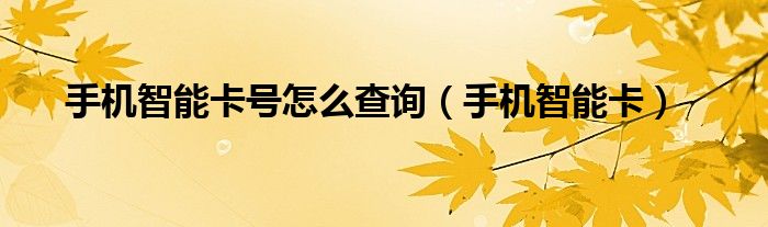 手机智能卡号怎么查询（手机智能卡）