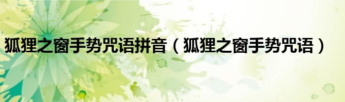 狐狸之窗手势咒语拼音（狐狸之窗手势咒语）