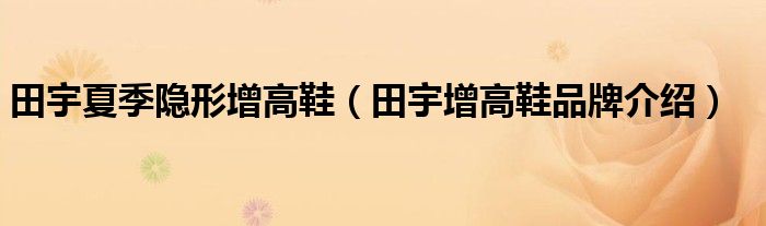 田宇夏季隐形增高鞋（田宇增高鞋品牌介绍）