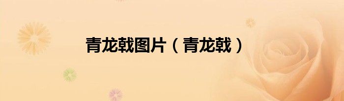 青龙戟图片（青龙戟）