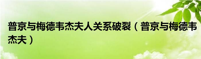 普京与梅德韦杰夫人关系破裂（普京与梅德韦杰夫）