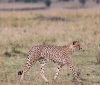 支付宝我的界面如何删除一些功能