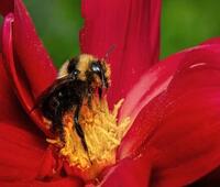 上海有什么好玩的地方